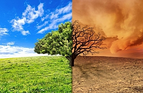 ISO 9001 Standardında İklim Değişikliğinin Önemi